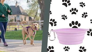 Portable Pet Feeding Dish - 5 Colours