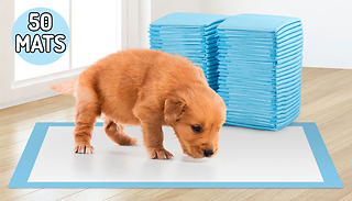 50-Pack Puppy Training Pads
