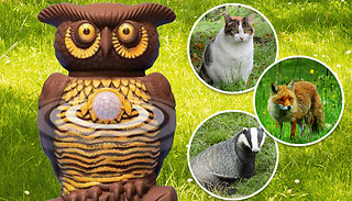 Ultrasonic Pest Repelling Owl Ornament - 1 or 2-Pack