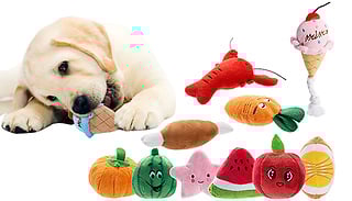 10-Pack of Squeaky Dog Plush Toys
