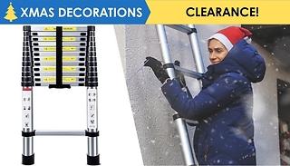 Extendable Telescopic Aluminium Ladder - 2.9m, 3.2m or 3.8m