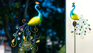 Solar LED Garden Peacock Light