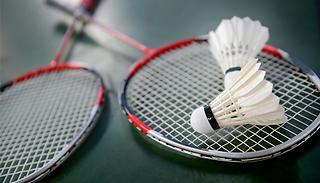4-Player Badminton Set With Net, Shuttlecocks & Rackets