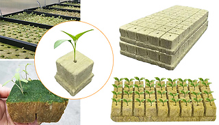 100 Seeding Growing Starter Wool Rock Cubes