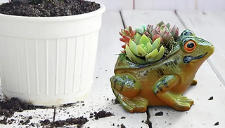 Mini Frog Flower Pot - 1 or 2-Pack