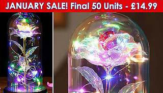 LED Light-Up Eternal Rose in Glass - 5 Colours