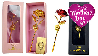 Mother's Day Eternity Rose – 4 Colours