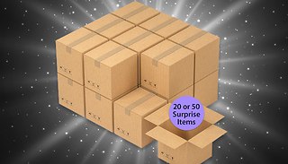 Mystery Wholesale Clearance Box - 20 or 50 Items