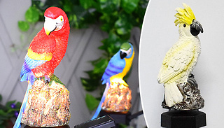 Parrot Solar Powered Garden Lawn Light - 3 Colours