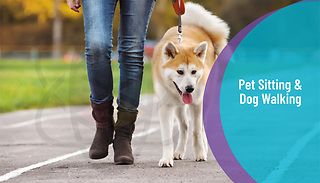 Pet Sitting & Dog Walking Online Diploma