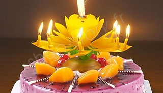 Birthdays Flower Candle - 6 Colours