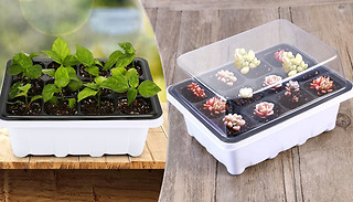 5 or 10-Pack of Seedling Starter Trays