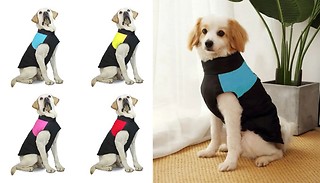 Padded Zipper Pet Jacket - 4 Colours & 4 Colours