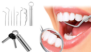 Portable 7-Piece Stainless Steel Toothpick Set