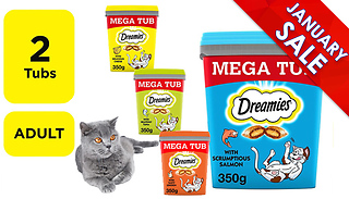 2 x 350g Dreamies Adult Cat Treats Tubs - 4 Options