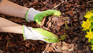 Decorative Bark - 80 Litre Bag