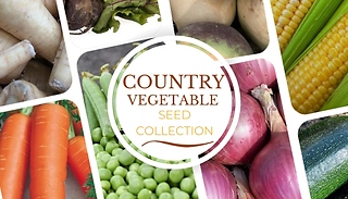 Country Vegetable Seed Collection - Over 1000 Seeds!