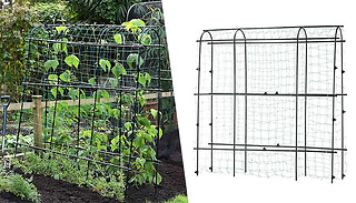 Garden Gear 1.8-Metre Pea Tunnel with Netting