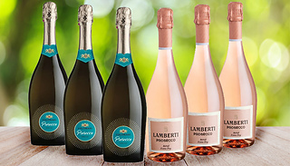 6-Piece Extra-Dry White & Rosè Prosecco Box Set