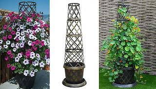 1 or 2 Black & Gold Trellis Tower Pots