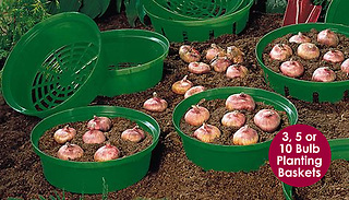 3, 5 or 10 Bulb Planting Baskets