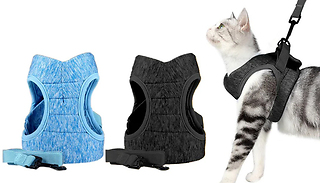 Pet Body Harness and Leash - 2 Colours & 3 Sizes