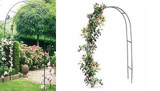 Metal Decorative Climbing Plant Archway