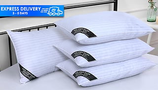 2 or 4-Pack of Hotel Quality Striped Pillows