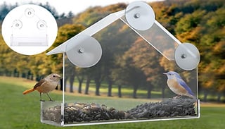 Window Bird Feeder With Suction Cups