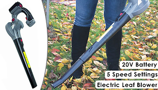Eckman Cordless 20V Electric Leaf Blower