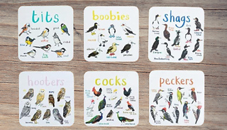 Set of 6 Bird Pun Coasters