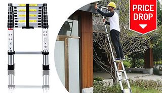 Extendable Telescopic Aluminium Ladder - 2.9m, 3.2m or 3.8m