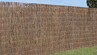 2cm Thick Brushwood Thatch Garden Screen Roll - 3 Sizes
