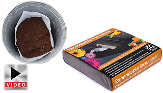 10L Incredicoir Peat-Free Expanding Compost – up to 12 packs
