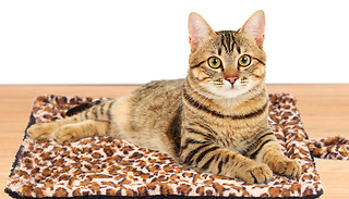 Self-Heating Leopard Print Cat Bed