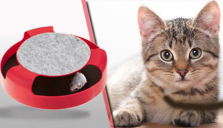 Catch the Mouse Toy