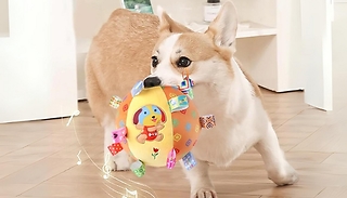 Interactive Sound Football Dog Toy - 4 Designs 