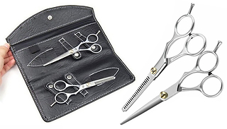 Professional Hairdressing & Thinning Scissors With Case