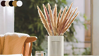 15 or 30-Pack Natural Dried Small Phragmites - 5 Colours