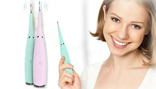 Electric Sonic Dental Scaler - 2 Colours