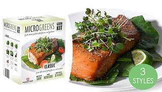 Microgreens Variety Seed Growing Kit - 3 Options