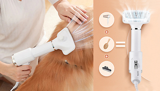 2-In-1 Pet Hair Dryer and Brush