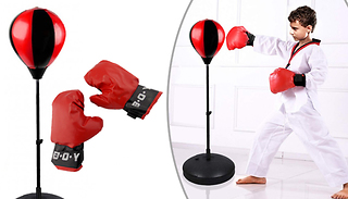 Kids Boxing Ball & Gloves