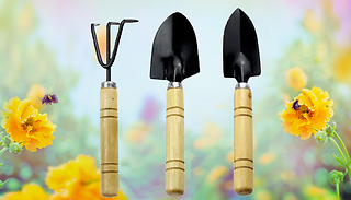 3-Piece Mini Gardening Tool Set