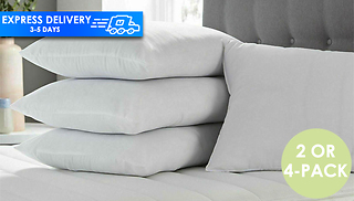 Hotel Quality Anti-Hay Fever Embossed Pillow - 2 or 4-Pack