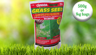 Canada Green Grass Seed - 500g or 1kg