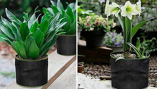 Non-Woven Fabric Plant Grow Bags- 5 or 10 Gallons