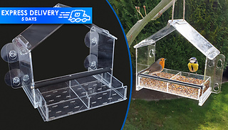 Frequent Flyer Clear Acrylic Bird Feeder