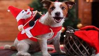 Running Santa Dog Costume - 4 Sizes