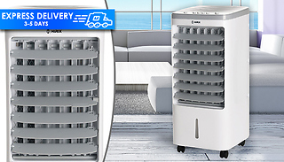 60W Arctic Power 4L Oscillating Air Cooler